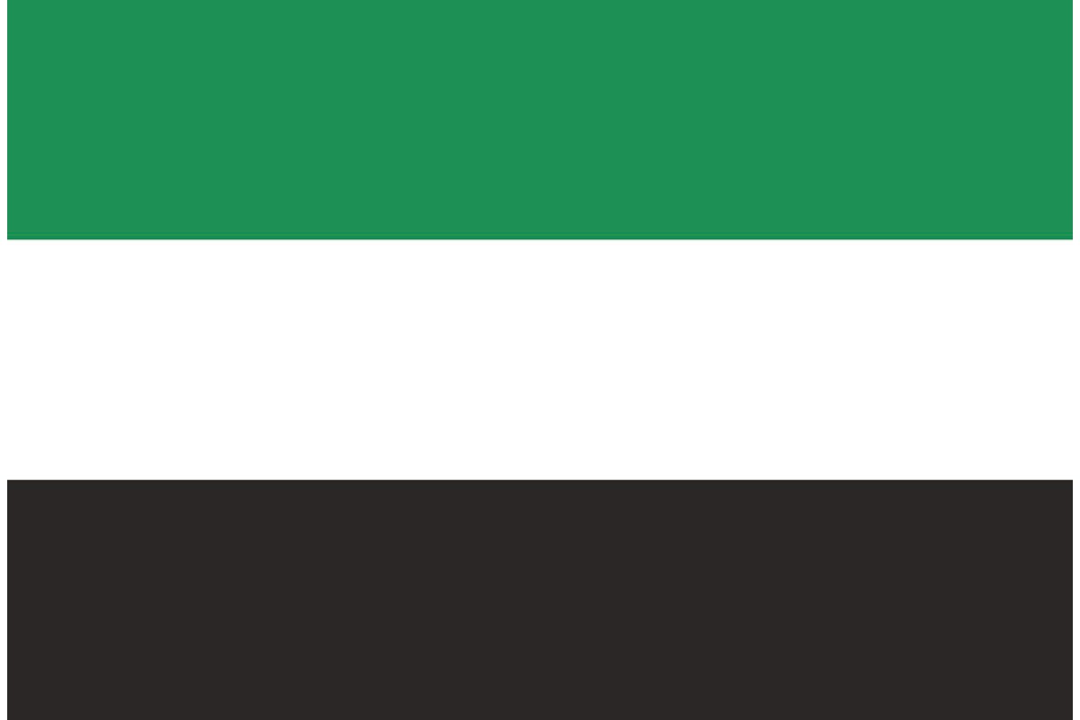 Bandera de Extremadura sin escudo de alta calidad para exterior Bandera de Extremadura sin escudo de alta calidad para exterior