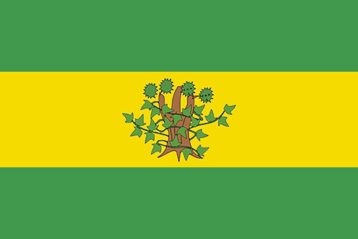 Bandera de despacho de Oroso de alta calidad