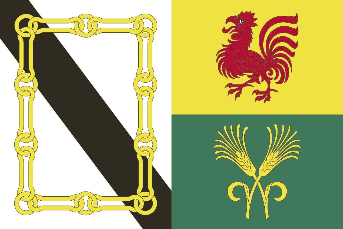 Bandera de despacho de Xinzo de Limia de alta calidad Bandera de despacho de Xinzo de Limia de alta calidad