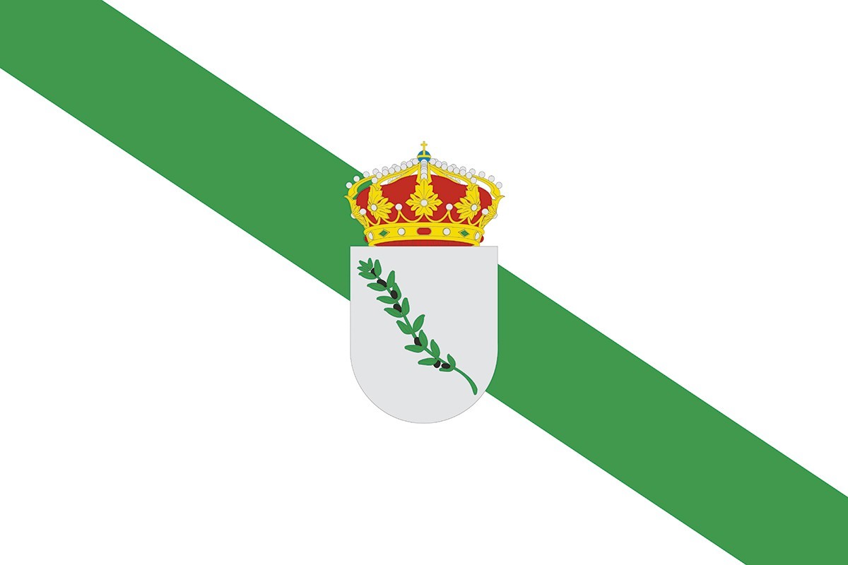 Bandera de despacho de Aceituna de alta calidad