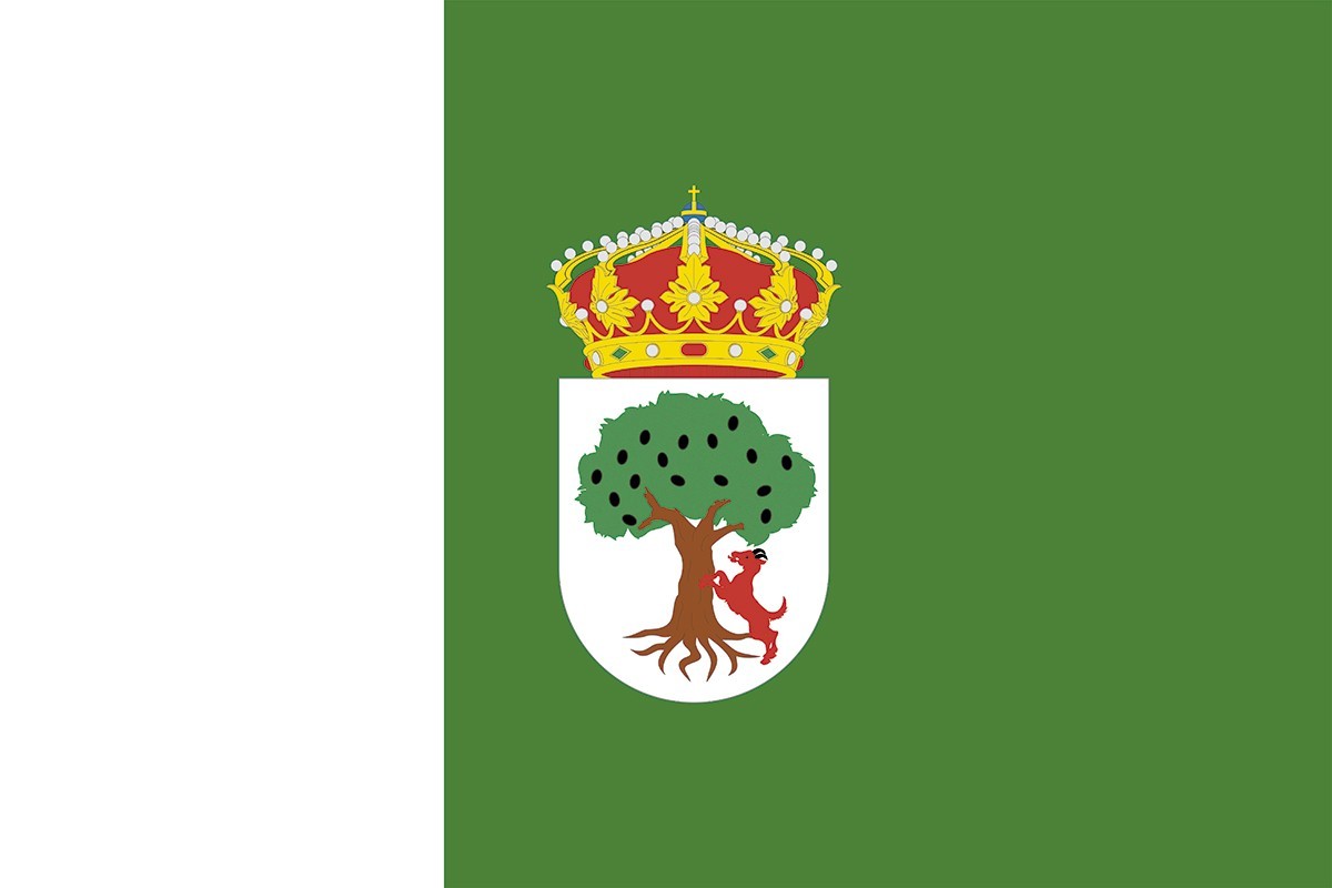 Bandera de despacho de Aceuchal de alta calidad