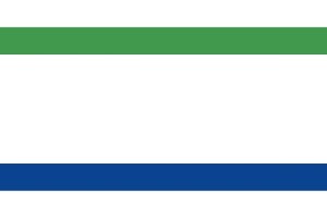 Bandera de despacho de Berrocalejo de alta calidad