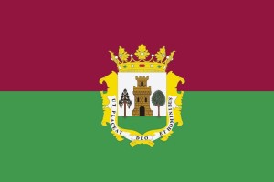 Bandera de despacho de Plasencia de alta calidad