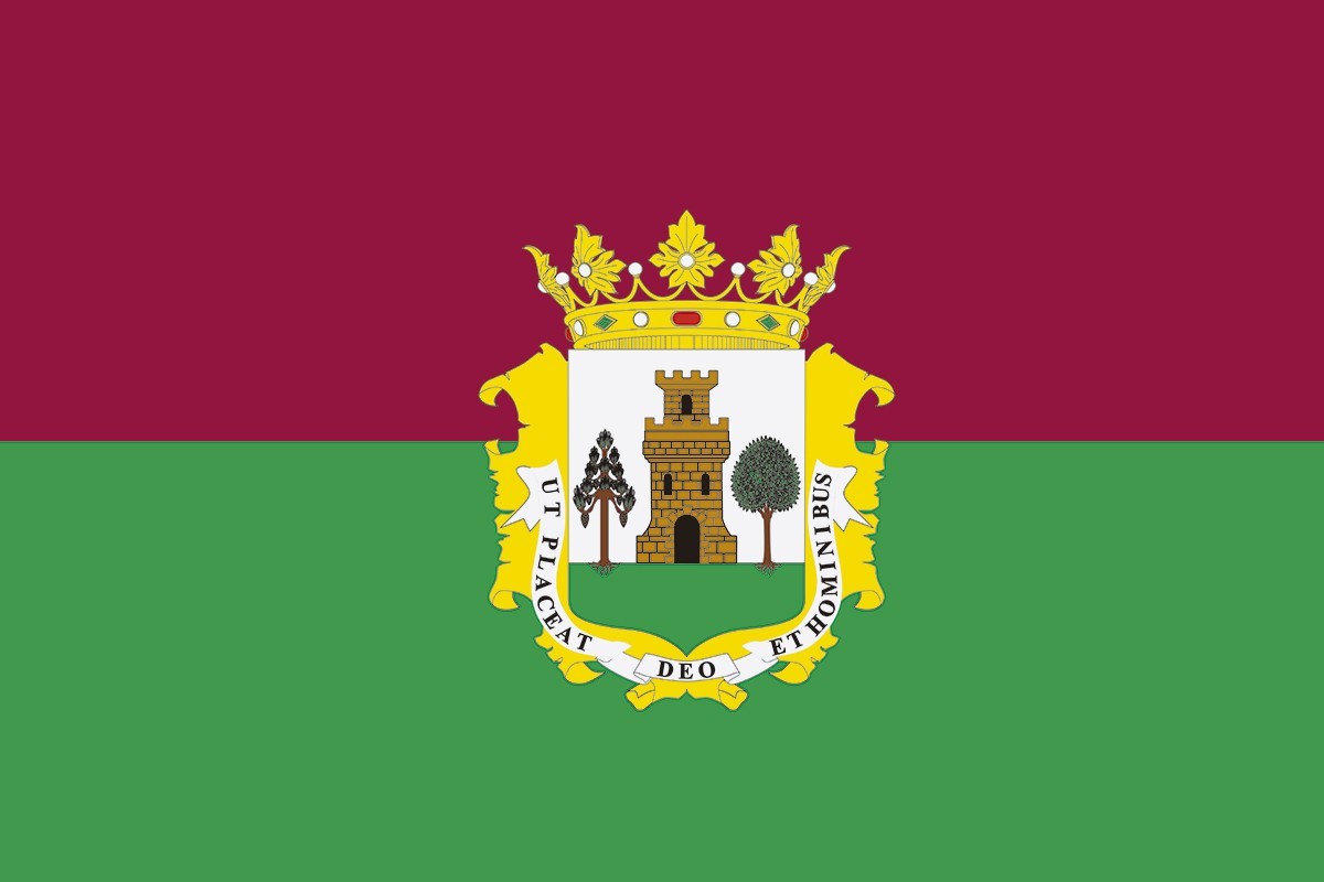 Bandera de despacho de Plasencia de alta calidad