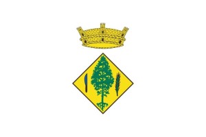 Bandera de despacho de Alpicat de alta calidad Bandera de despacho de Alpicat de alta calidad