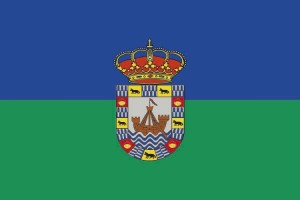 Bandera de despacho de Bareyo de alta calidad