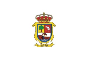 Bandera de despacho de Voto de alta calidad