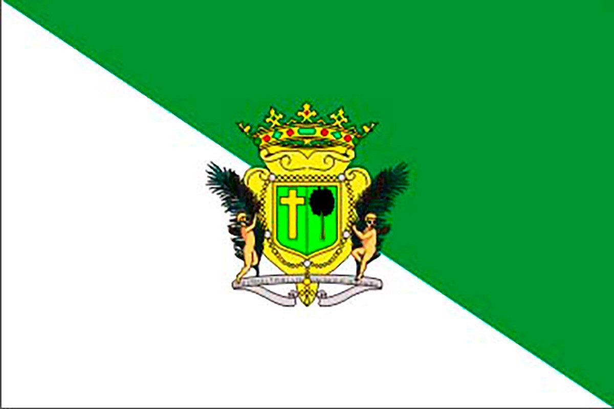 Bandera de despacho de Santa Brígida de alta calidad