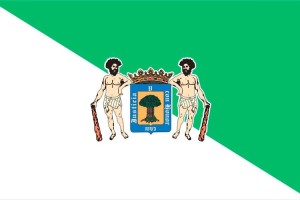Bandera de despacho de Valsequillo de Gran Canaria de alta calidad
