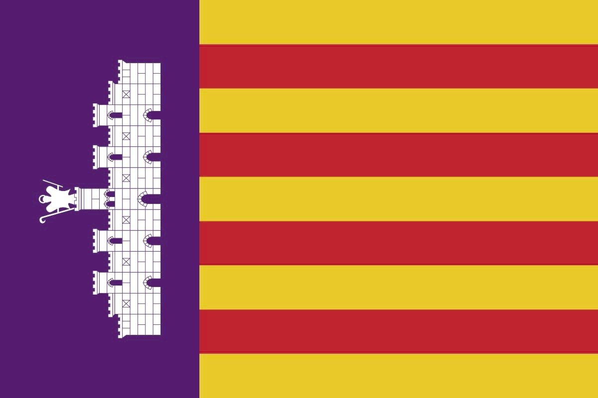 Bandera de despacho de Palma de alta calidad