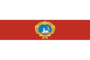 Bandera de despacho de Sant Joan de alta calidad