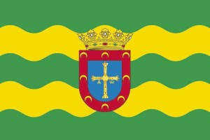 Bandera de despacho de Allande de alta calidad