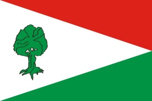 Bandera de despacho de Albolote de alta calidad