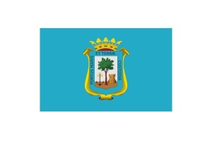 Bandera de despacho de Huelva de alta calidad