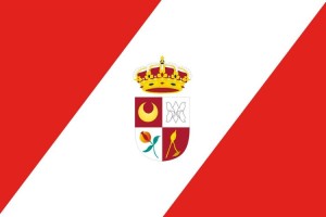 Bandera de despacho de Nevada de alta calidad