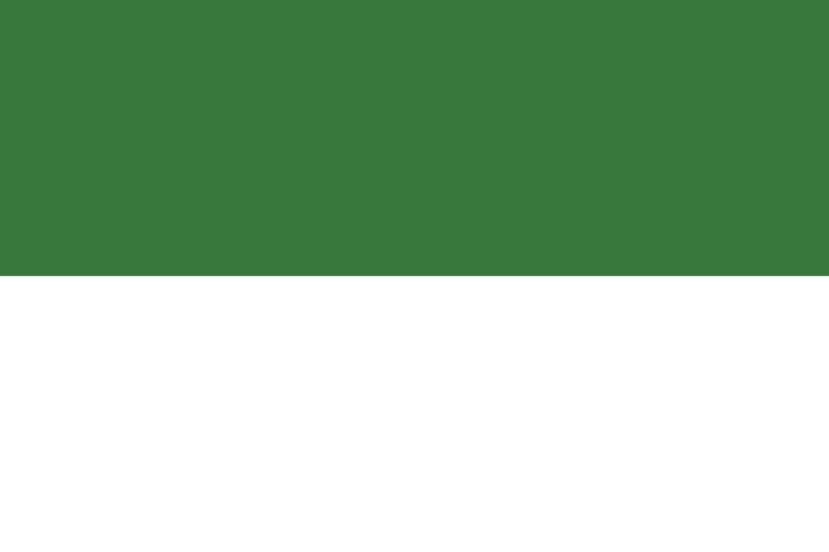 Bandera de Bakio de alta calidad para exterior Bandera de Bakio de alta calidad para exterior