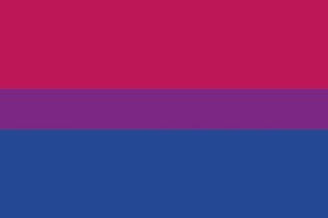 Bandera de mesa Bisexual