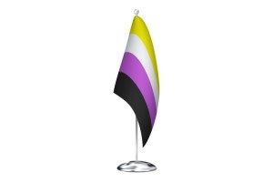 Bandera de despacho no binaria 123