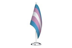 Bandera de despacho transexual 123