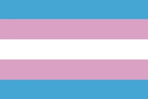 Bandera de despacho transexual