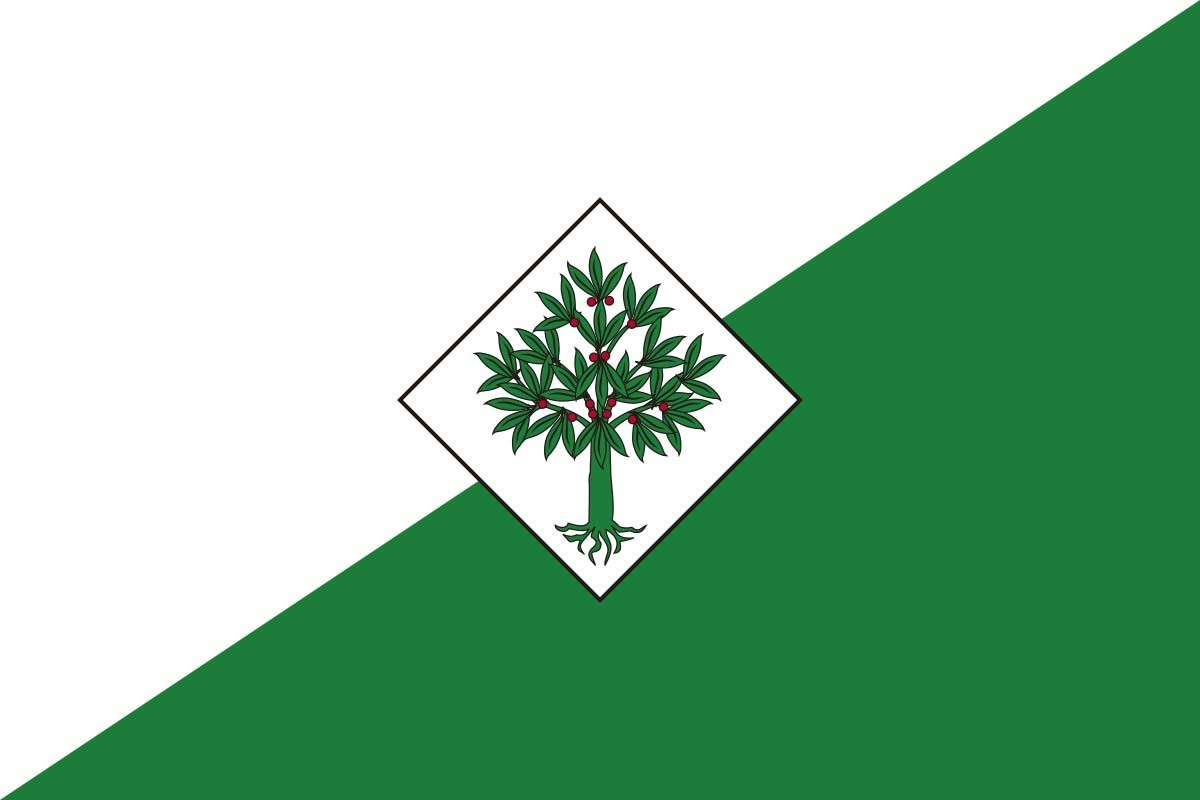 Bandera de Lloret de Mar de alta calidad para exterior