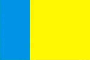 Bandera de San Miguel de Abona de alta calidad para exterior 123