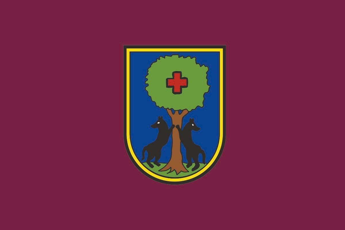 Bandera de Etxebarri de alta calidad para exterior