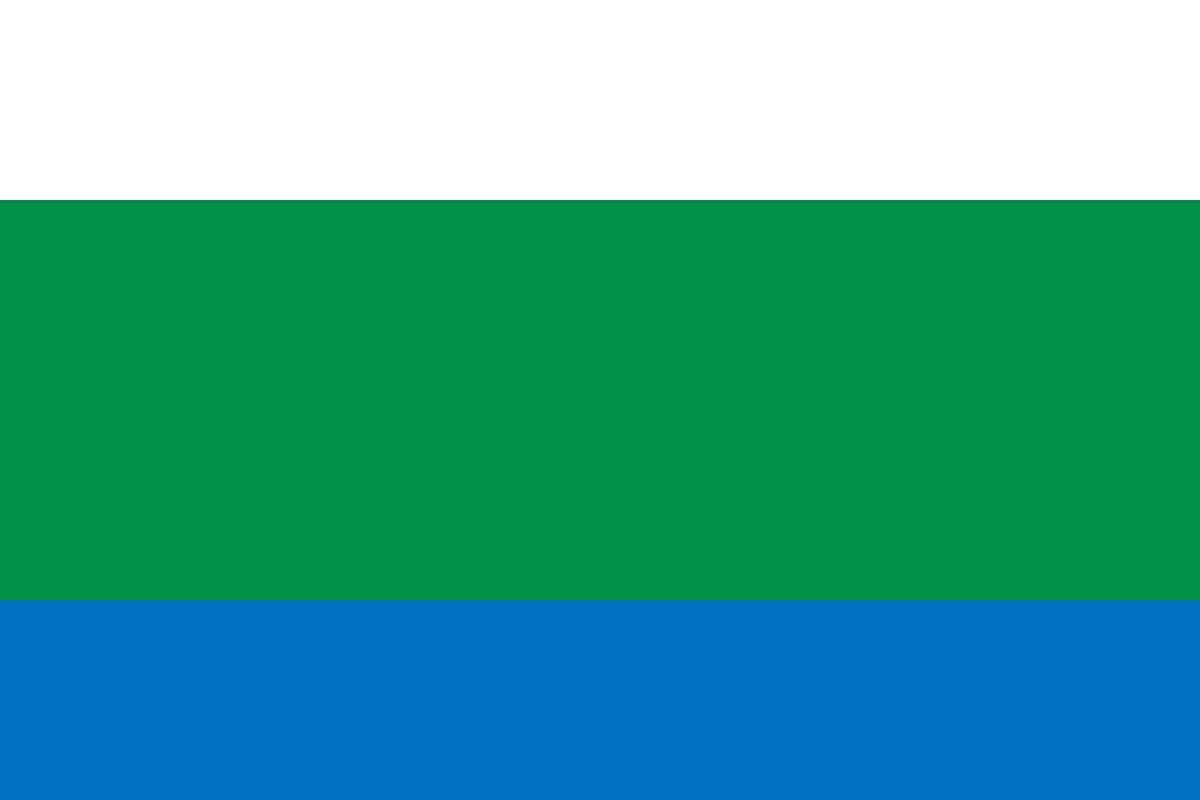 Bandera de Sauzal de alta calidad para exterior Bandera de Sauzal de alta calidad para exterior