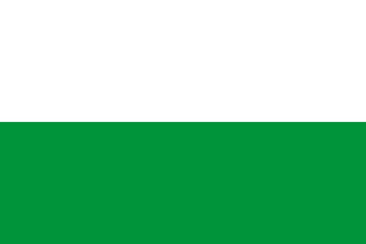 Bandera de Tegueste de alta calidad para exterior Bandera de Tegueste de alta calidad para exterior