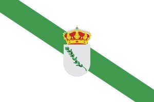 Bandera de Aceituna de alta calidad para exterior 123
