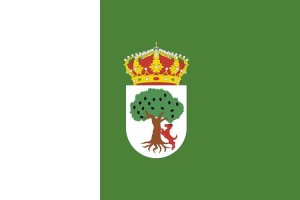 Bandera de Aceuchal de alta calidad para exterior 123