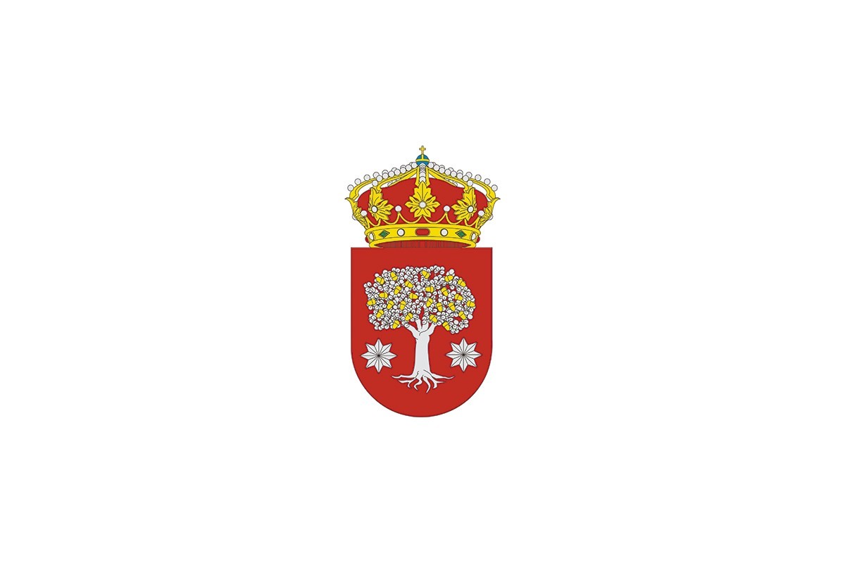 Bandera de Alburquerque de alta calidad para exterior