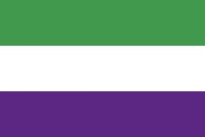 Bandera de Mesas de Ibor de alta calidad para exterior 123