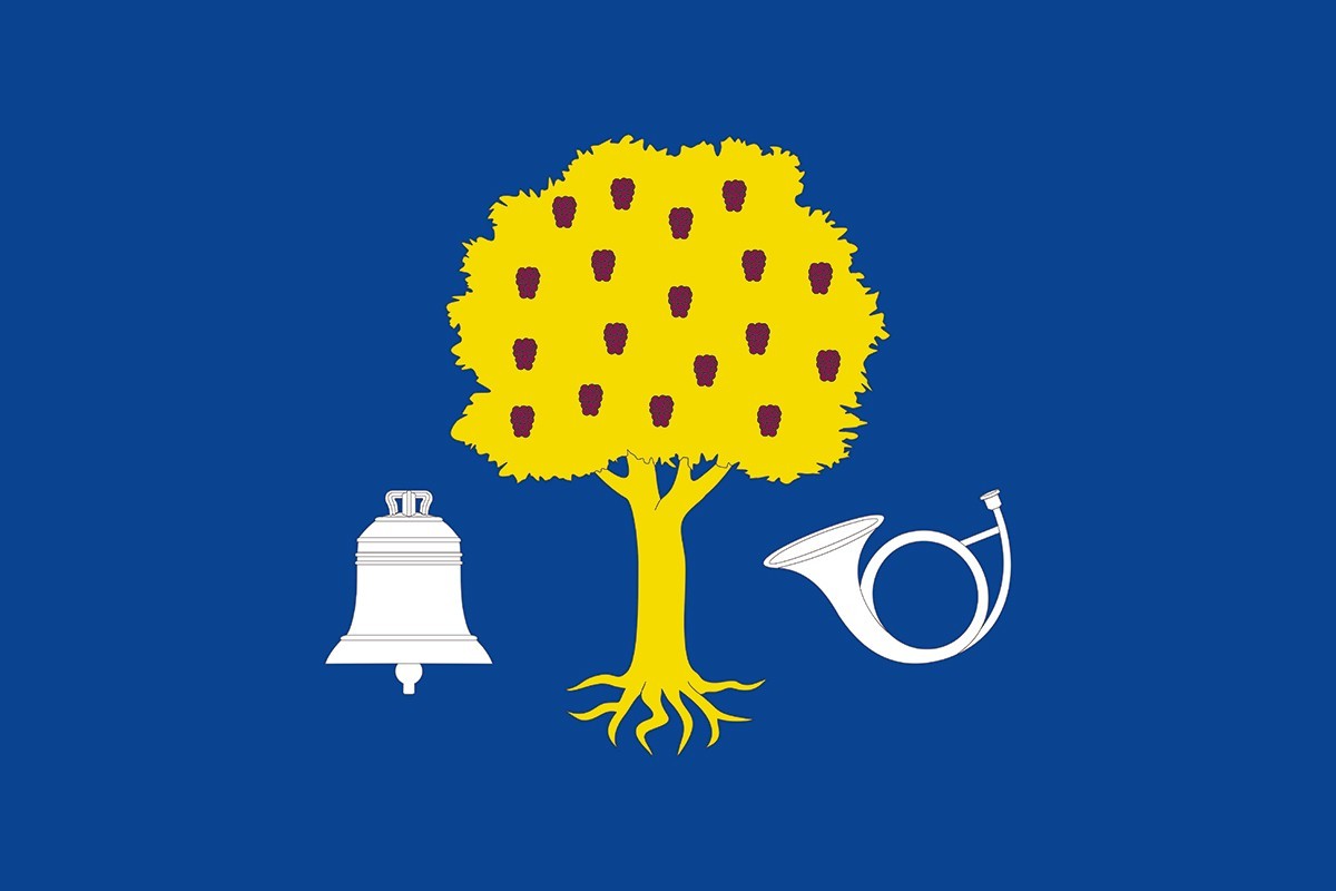 Bandera de Navalmoral de la Mata de alta calidad para exterior Bandera de Navalmoral de la Mata de alta calidad para exterior
