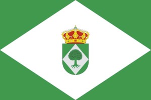 Bandera de Navezuelas de alta calidad para exterior 123