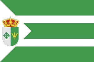 Bandera de Villa del Campo de alta calidad para exterior 123