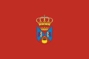 Bandera de Villar del Rey de alta calidad para exterior 123