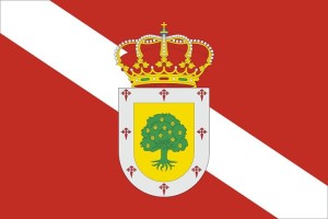 Bandera de Zarza de alta calidad para exterior 123