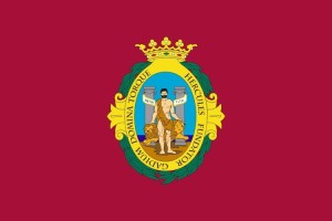 Bandera de Cádiz de alta calidad para exterior 123