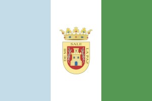 Bandera de Olvera de alta calidad para exterior 123