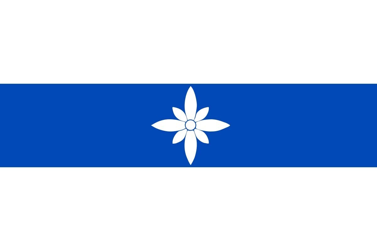 Bandera de Dílar de alta calidad para exterior Bandera de Dílar de alta calidad para exterior