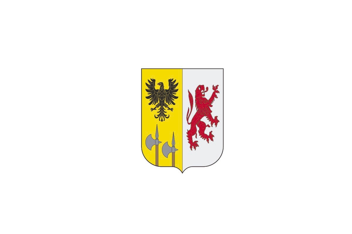 Bandera de Ikaztegieta de alta calidad para exterior