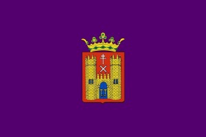 Bandera de Baeza de alta calidad para exterior 123