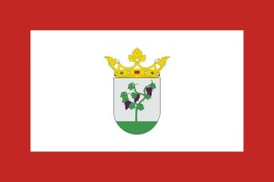 Bandera de Ágreda de alta calidad para exterior 123