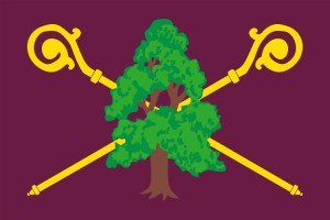 Bandera de Brazacorta de alta calidad para exterior 123