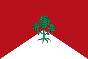 Bandera de Bugedo de alta calidad para exterior 123