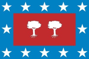 Bandera de Camporredondo de alta calidad para exterior 123