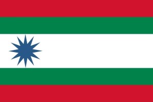 Bandera de Carbajales de Alba de alta calidad para exterior 123