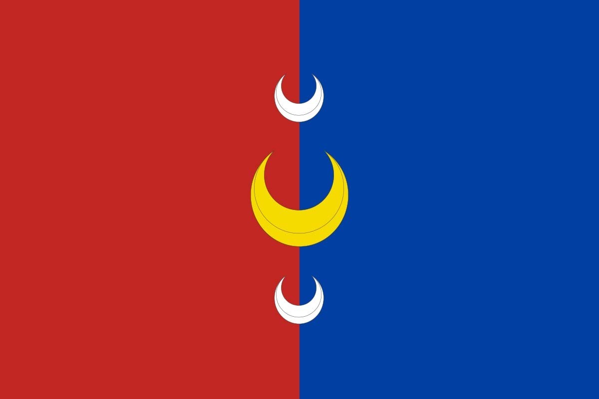 Bandera de Castrejón de Trabancos de alta calidad para exterior Bandera de Castrejón de Trabancos de alta calidad para exterior
