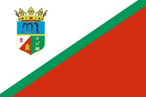 Bandera de Ceinos de Campos de alta calidad para exterior 123